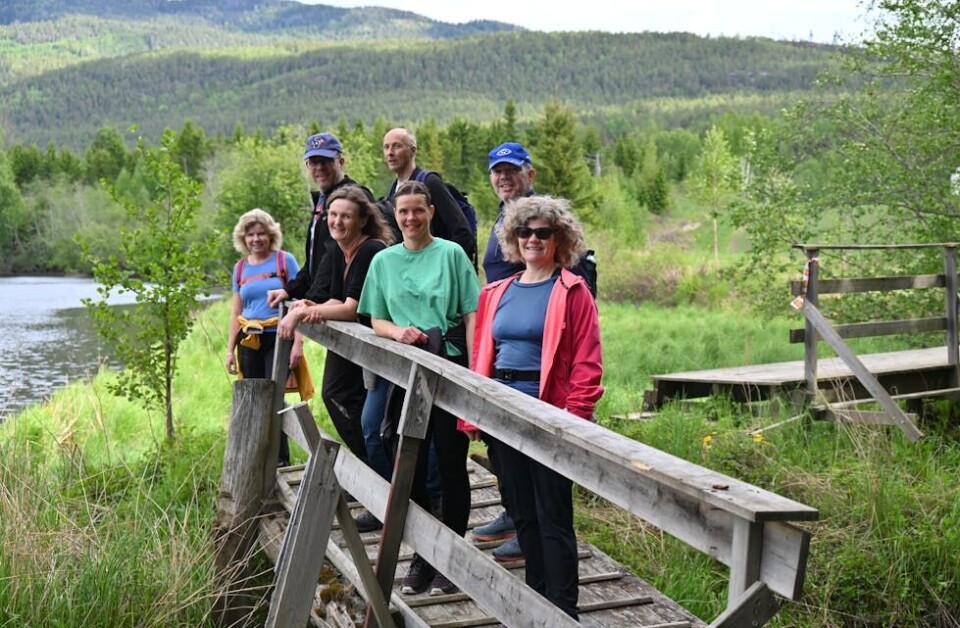 FIN GJENG PÅ TUR: God stemning på tur gjennom Midt-Telemark. Framme f.v. Torunn Hesthag, Astrid Staurheim, Siri Blichfeldt Dyrland og Christel Nævdal Barlaup. Bak f.v. Bjørnar Nesje, Odd Kløverød og Trond Barlaup. FOTO: Hilde Eika Nesje