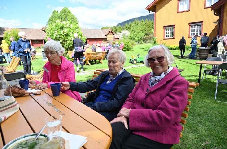 MATPAUSE: På Evju bygdetun blei det ei pause for f.v. Berit Schnell, Ingebjørg Løberg og Rønnaug Torsholt. FOTO: Hilde Eika Nesje