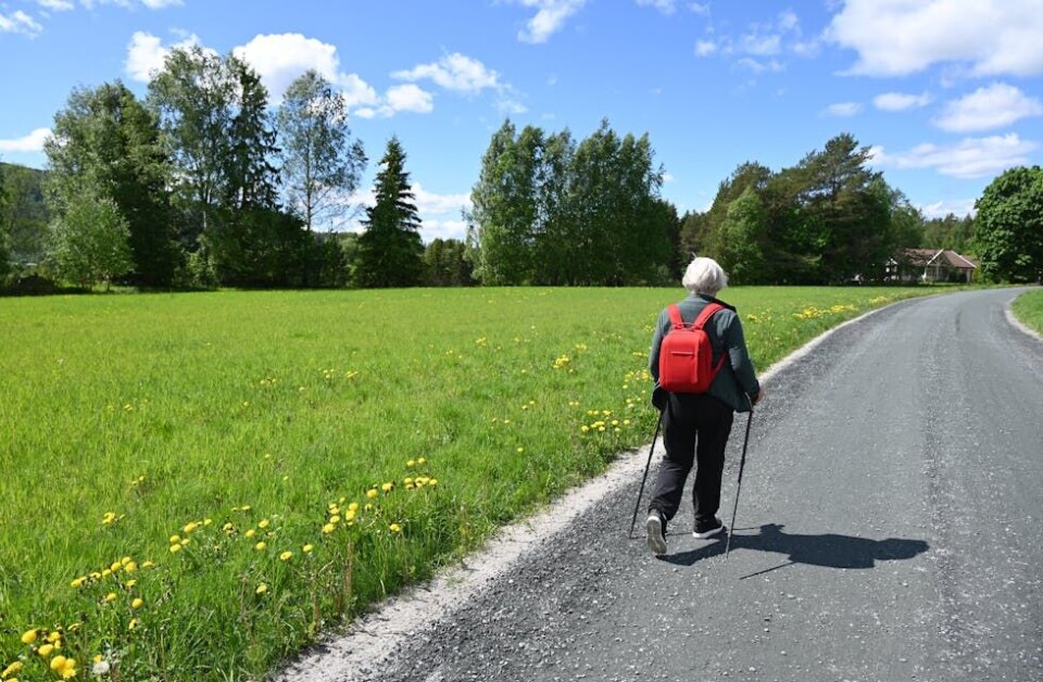 VAKKER NATUR: Pilegrimsvandringa gjekk gjennom fint naturlandskap. FOTO: Hilde Eika Nesje