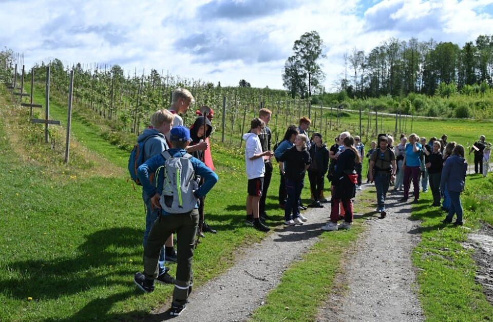 UNGDOM: Konfirmantane i Sauherad og Nes har vandringa som del av konfirmasjonsopplegget. FOTO: Hilde Eika Nesje