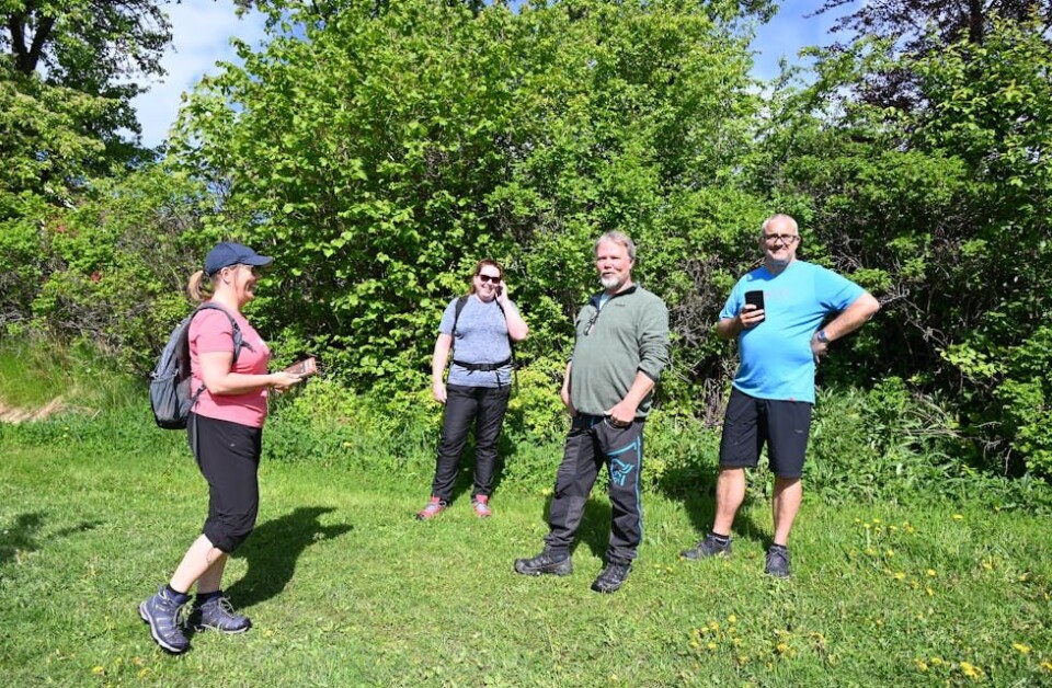 PILEGRIMAR: Tove Bakås, Karin Snippen, Lars Kenneth Bakås og Olav Snippen vandra også i eplehagane på Nes. FOTO: Hilde Eika Nesje