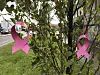 SLØYFER I GATA: Rosa sløyfer er hengt opp i Bøgata for å minne om aksjonen til støtte for brystkreftramma.