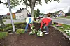 Dugnad i Bø sentrum planting blomster sentrumsringenPetra Amundsen (gul vest) Bjørg Momrak og Thorvald Amunsen får sving på blomsterbedet i rundkøyringa.