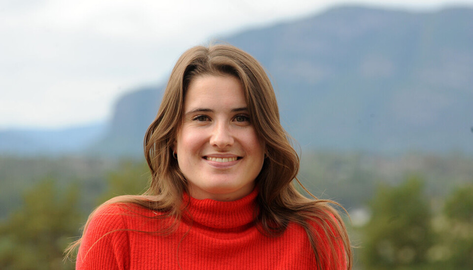 KULTURFORMIDLAR: Forfattar som bur i Bø.