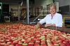 EIT HAV AV EPLE: Dagleg leiar ved Telefrukt AS, Bjørg Hesthag, har hatt hektiske dagar denne hausten. Her står ho ved stasjonen der eple blir mata flytande inn i den store hallen. Foto: Øystein Akselberg