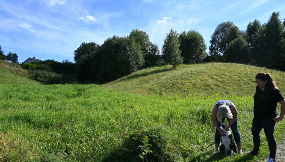GRØN TOMT: I Evjudalen har det vore ønskje om å legge til rette for ein hundepark.