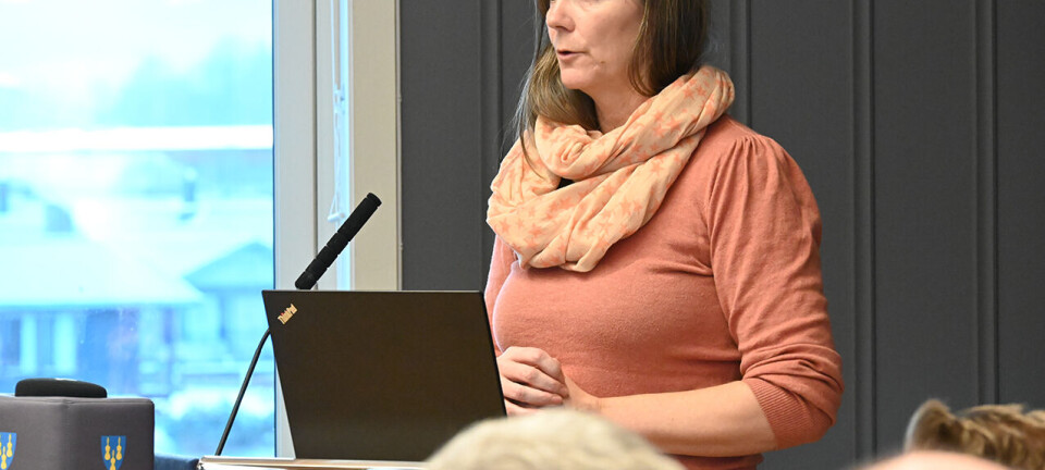 Kommunedelplan for Lifjell: «Høyring før høyring» er ein udemokratisk prosess
