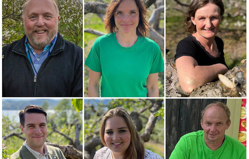 STYRET: Bak f.v. Borgar Kaasa, leiar, Siri Blichfeldt Dyrland, nestleiar, Astrid Staurheim, kasserar. Framme f.v. Chase Alexander Jordal, styremedlem, Anne Særsland, styremedlem, Kjetil Nyhus, styremedlem.