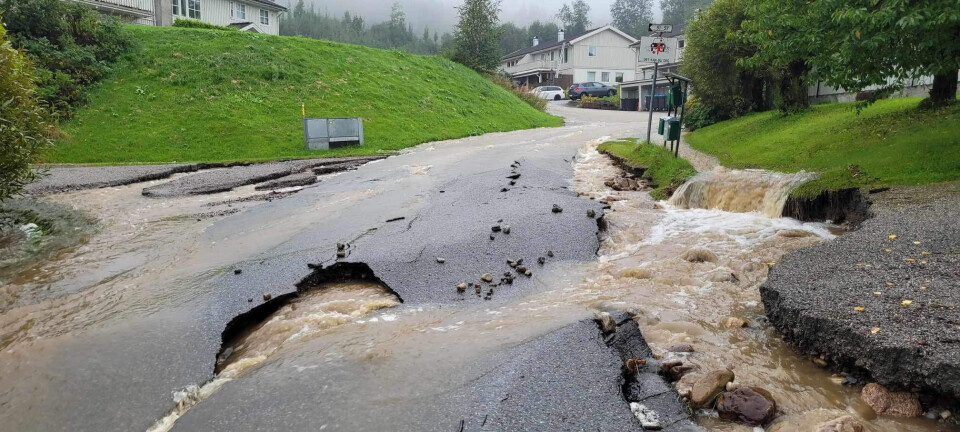 Desse vegane er stengt eller påverka av flaumen