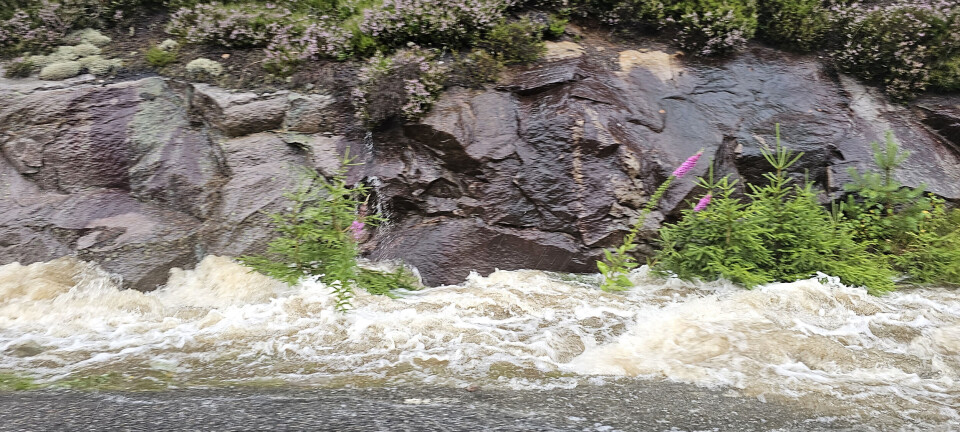 Fleire vegar i kommunen er stengt eller oversvømt