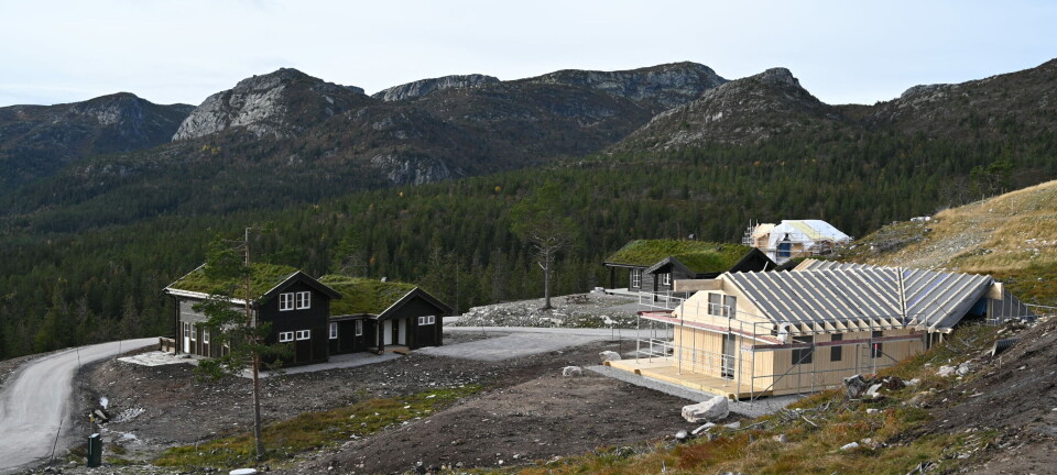 Dette meiner innbyggjarane om hyttebygging på Lifjell