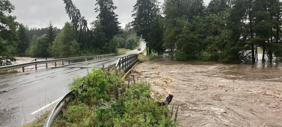 Fleire vegar stengt i kommunen: Her er oversikta