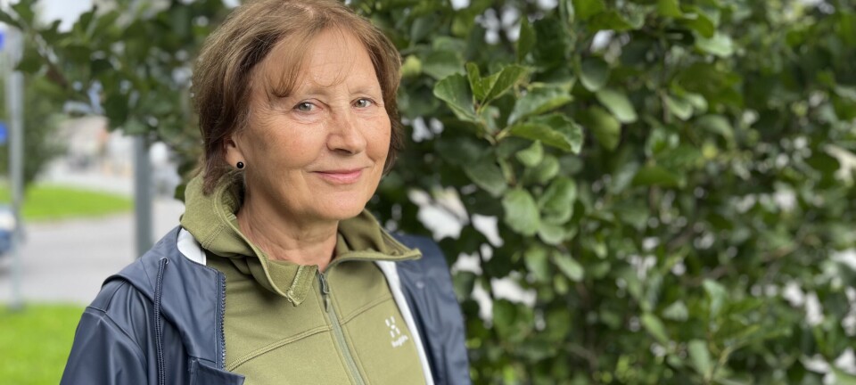 – Eg vil framsnakke ein som spreier mykje glede