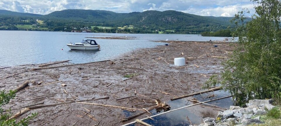 Rundballar flyt i Norsjø etter flaumen: – Det ser ikkje ut