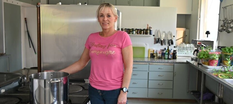 Nye bedrifter starta på løpande band