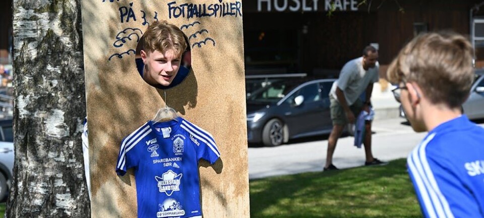 Vårmarknad i sommarsol: Leik og yrande folkeliv
