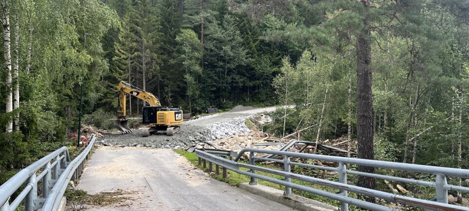 Har starta opprydding i Eikavegen: – Dette vil ta tid