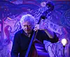 VETERAN PÅ SCENEN: Bassist og nestor i norsk jazz, Arild Andersen, spela sist konsert i Bø november 2019.