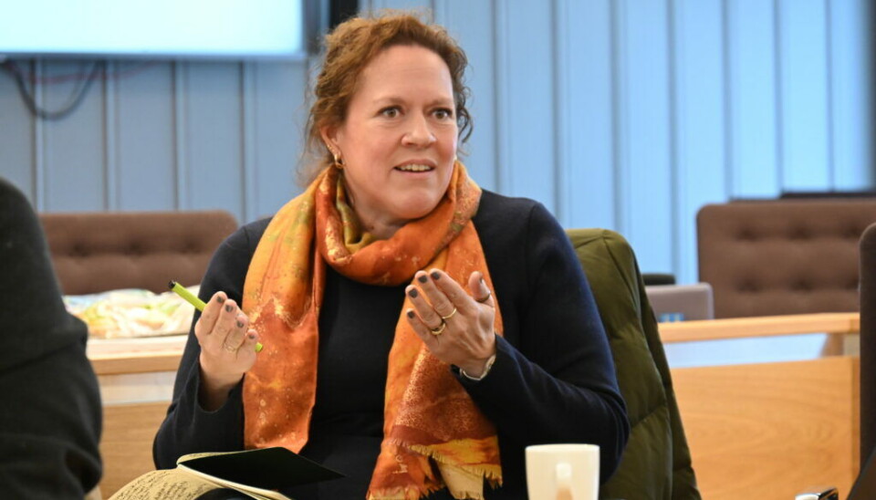 AKTIV: Heidi Elise Kvale, Midt-Telemark Venstre.