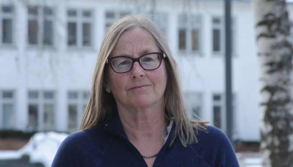 MEINING: Ragnhild Aarrestad, medlem i Midt-Telemark SV.