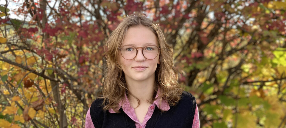 – Unge set urealistiske forventingar til seg sjølve