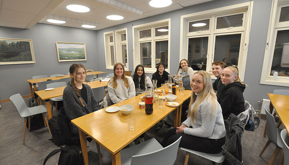 VIKTIG RÅD. Midt-Telemark har eit ungdomsråd der unge kan engasjere seg og uttale seg om lokalpolitikk. F.v. rundt bordet: Aurora Aline Haugdal, Eline Lian, Doha Ali Hamed, Jasmin Kusainova, Eline Momrak, Wisse Renssen, Astrid Horgen og Anne Vågen Bunkholt.