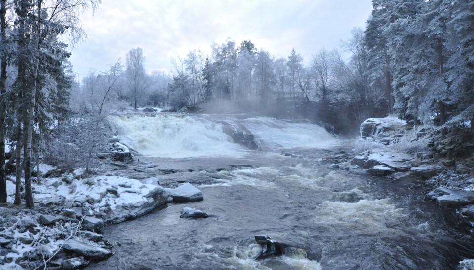 MIDT-TELEMARK: Oterholtfossen i Bøelva.