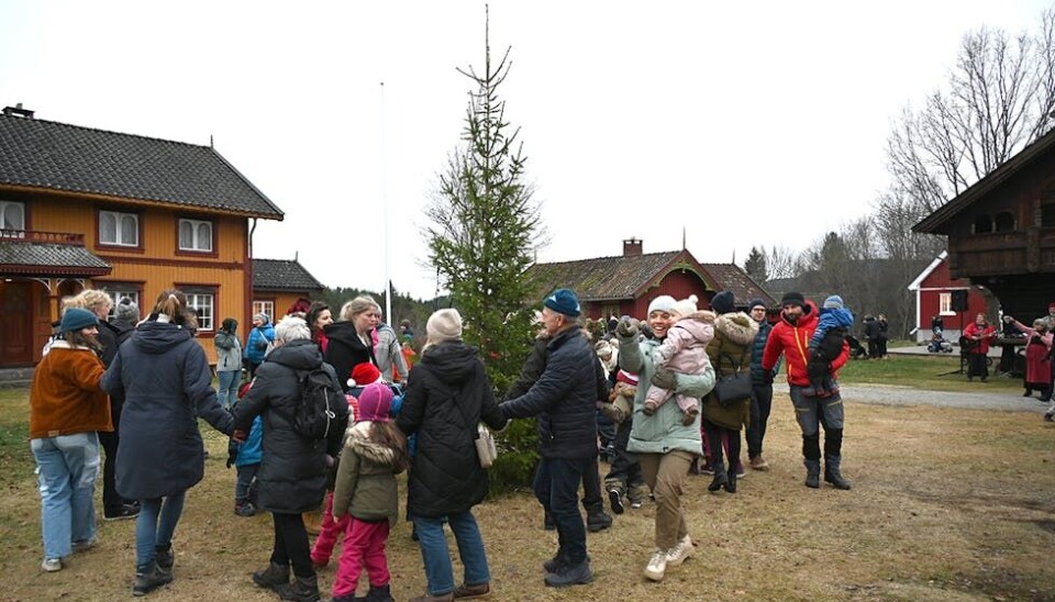 JULESONG: Julesongar som «Så går vi rundt om ein enerbærbusk» og gange rundt juletreet høyrer med i jula. Her frå førjulskveld på Evju bygdetun i 2022. Men veit du kva vekedag me heng opp klede i julesongen?