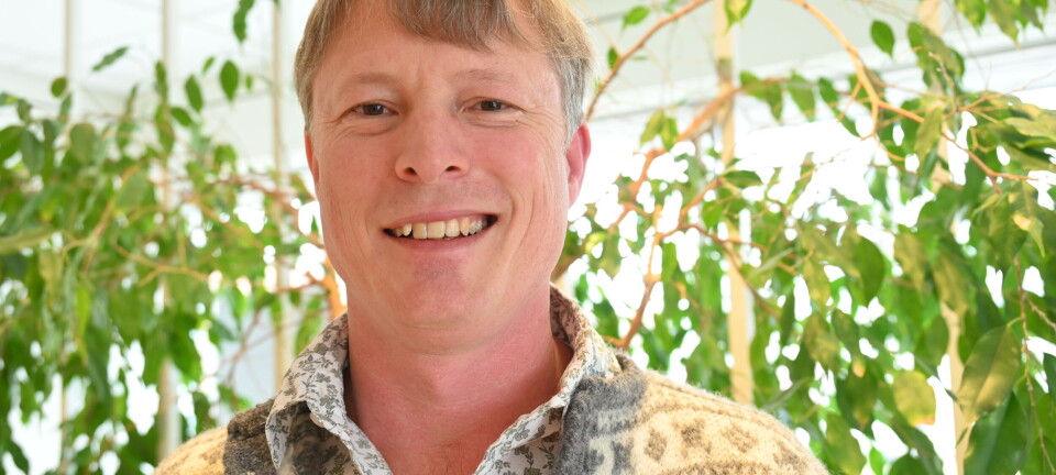 Australske Louis er fascinert av vikingtida – bur ved Tinghaug