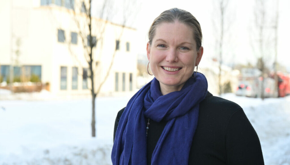 FAST SPALTIST: Solfrid Bratland-Sanda er fast spaltist i Bø blad – Lokalavis for Midt-Telemark.