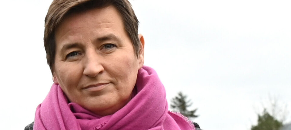 Angelika vil framsnakke ei løvemamma