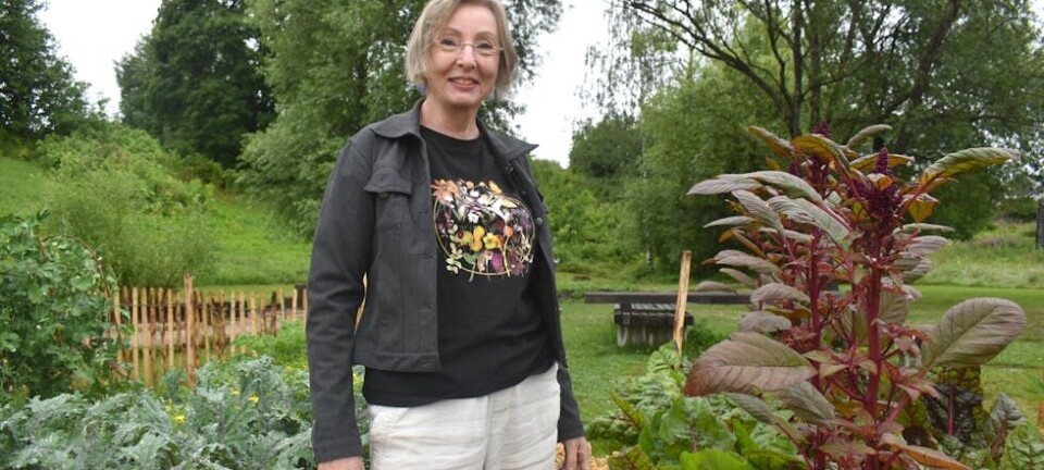 Frodig mangfald i Evjudalen: – Det hadde ikkje vore mogleg utan Ingebjørg