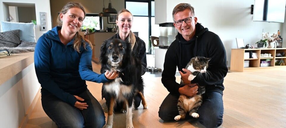 Forskar på Bonzo og Kåre – nå kan også din hund og katt bli med