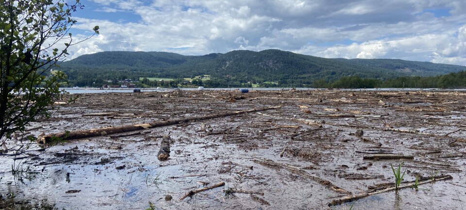 – Folk i båt på Norsjø må vere på vakt