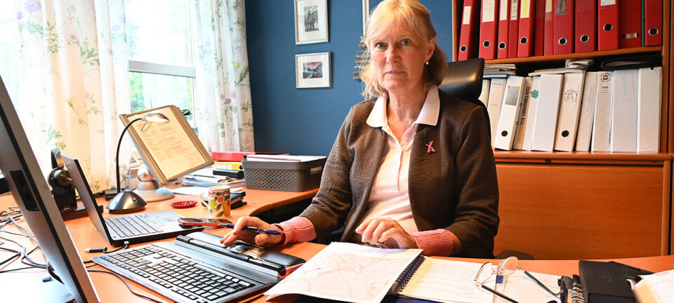 Mykje flaumskadar: Dette bør dei som er ramma gjere nå