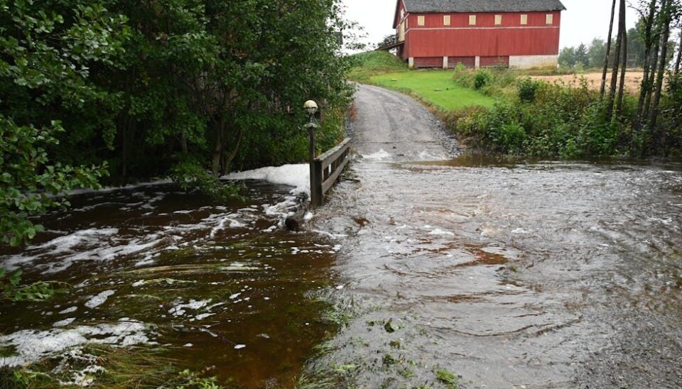 FLAUM: Åsåresvegen på Gunheim i september 2024.