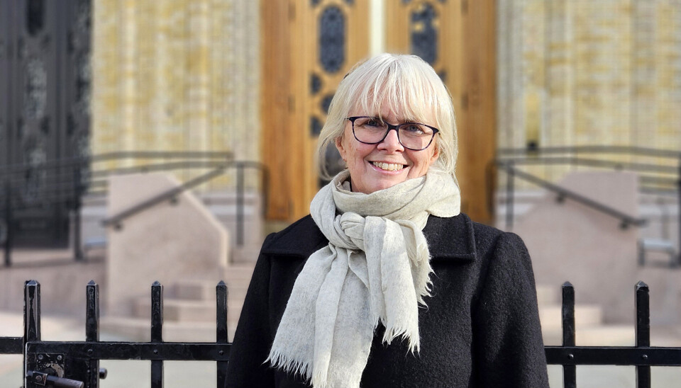 MEINING: Mari Larsen, generalsekretær i LHL, framfor Stortinget.