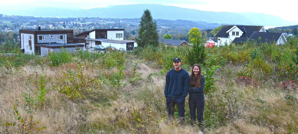 Det skjer noko både her og der i kommunen