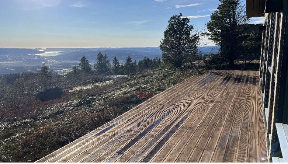 UTBYGGING: Eit område på Høgefjell som i dag blir bygd ut, med utsikt over Norsjø heilt ned til Skien. Dette flotte naturområdet med fantastisk utsikt er nå heilt privatisert.