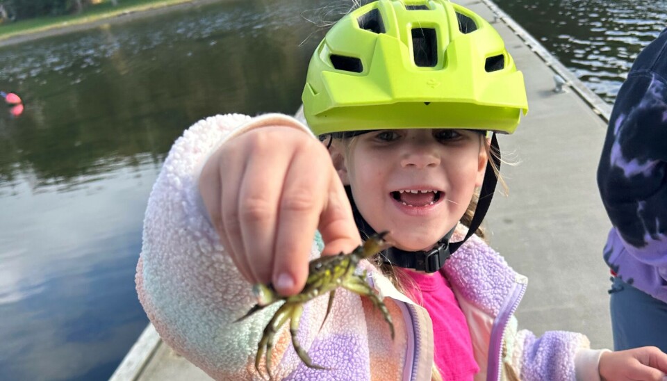 Eldbjørg 5 år