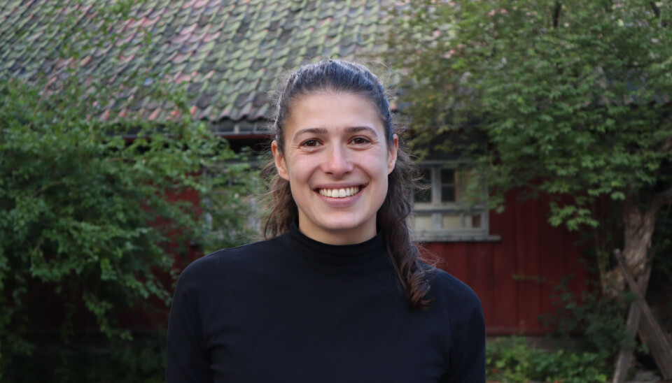 MEINING: Una Pasovic, Telemark SV