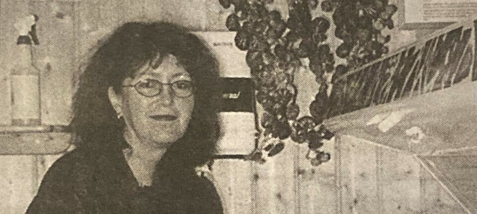 Knallhard tevling om solsenger