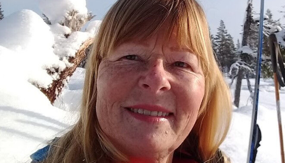 MEINING: Toril Knutson, Midt-Telemark Senterparti.