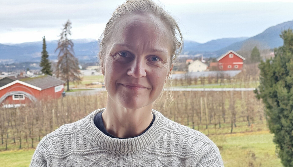 MEINING: Anlaug Haukvik Grave