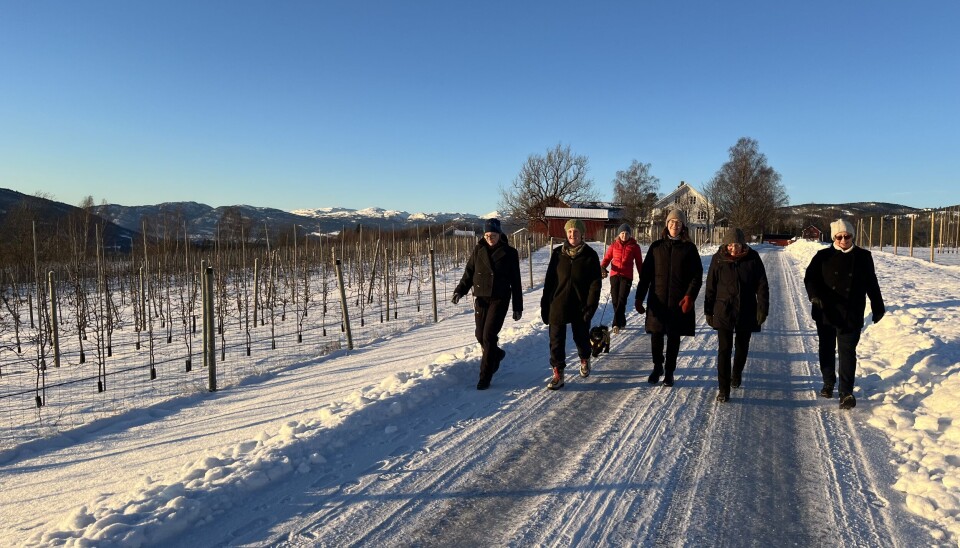 UT PÅ TUR: Midt-Telemark byr på fine turmulegheiter, og det er lett å finne ein finn plass å kose seg ute.