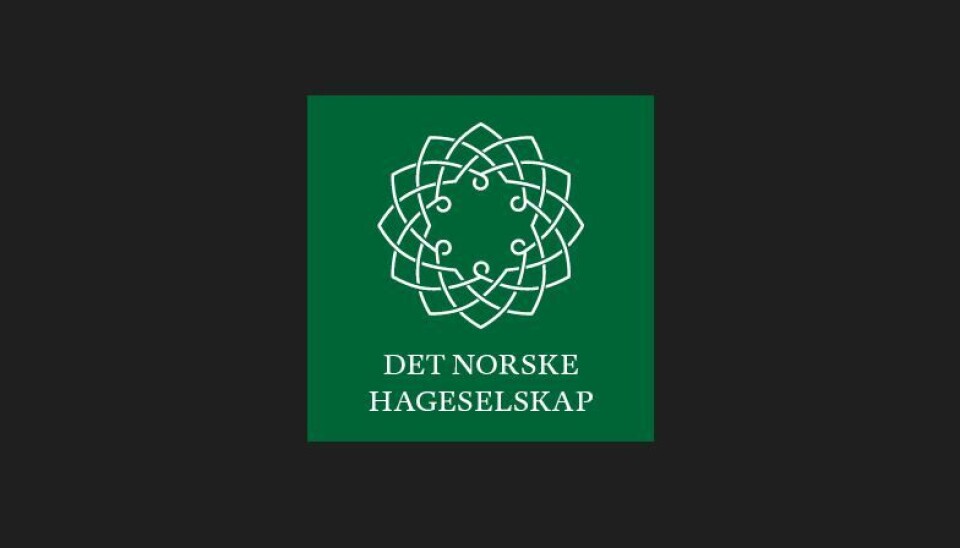 Høsthagedag på Bø torg