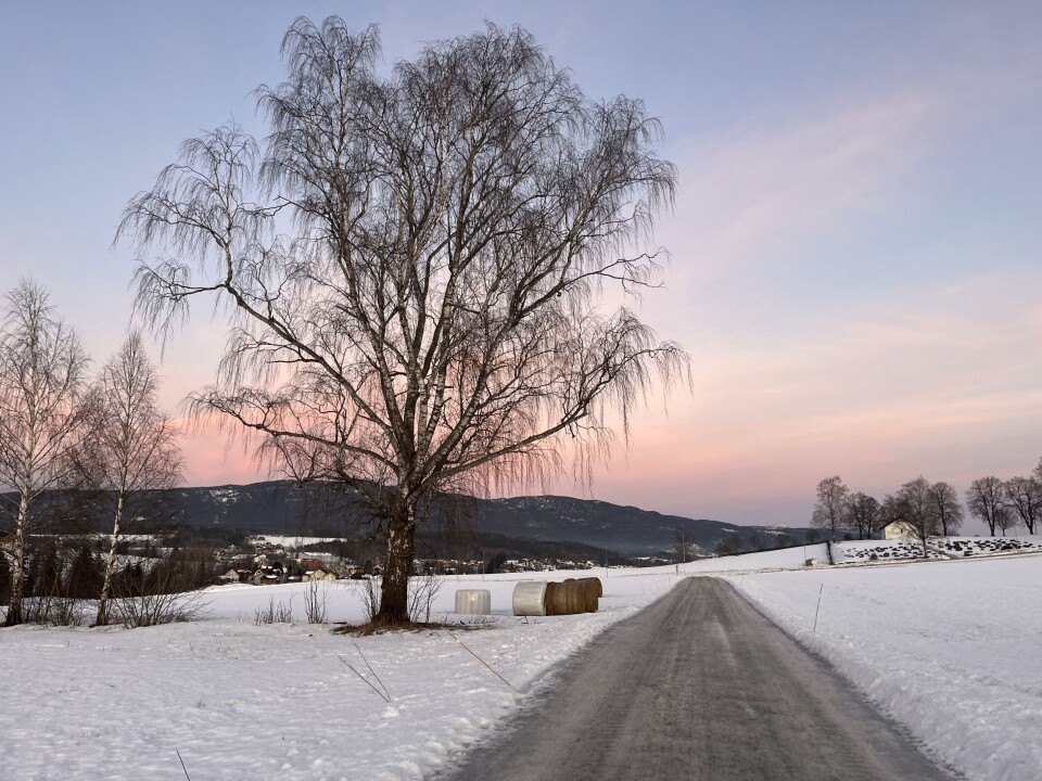 VEGDISKUSJON: Midt-Telemark kommune skal gjere fleire kommunale vegar om til private.