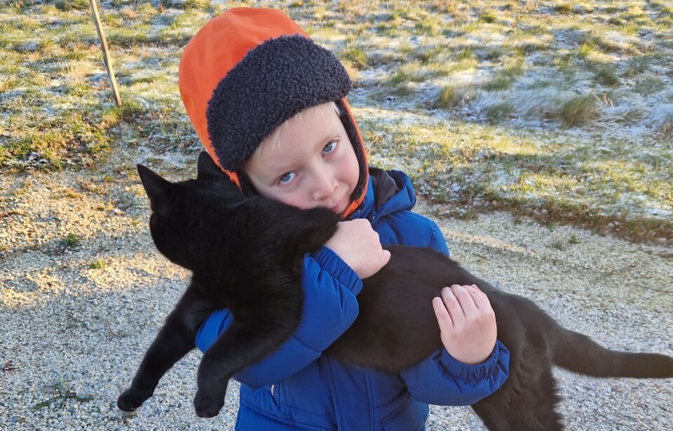 Hallvard 5 år