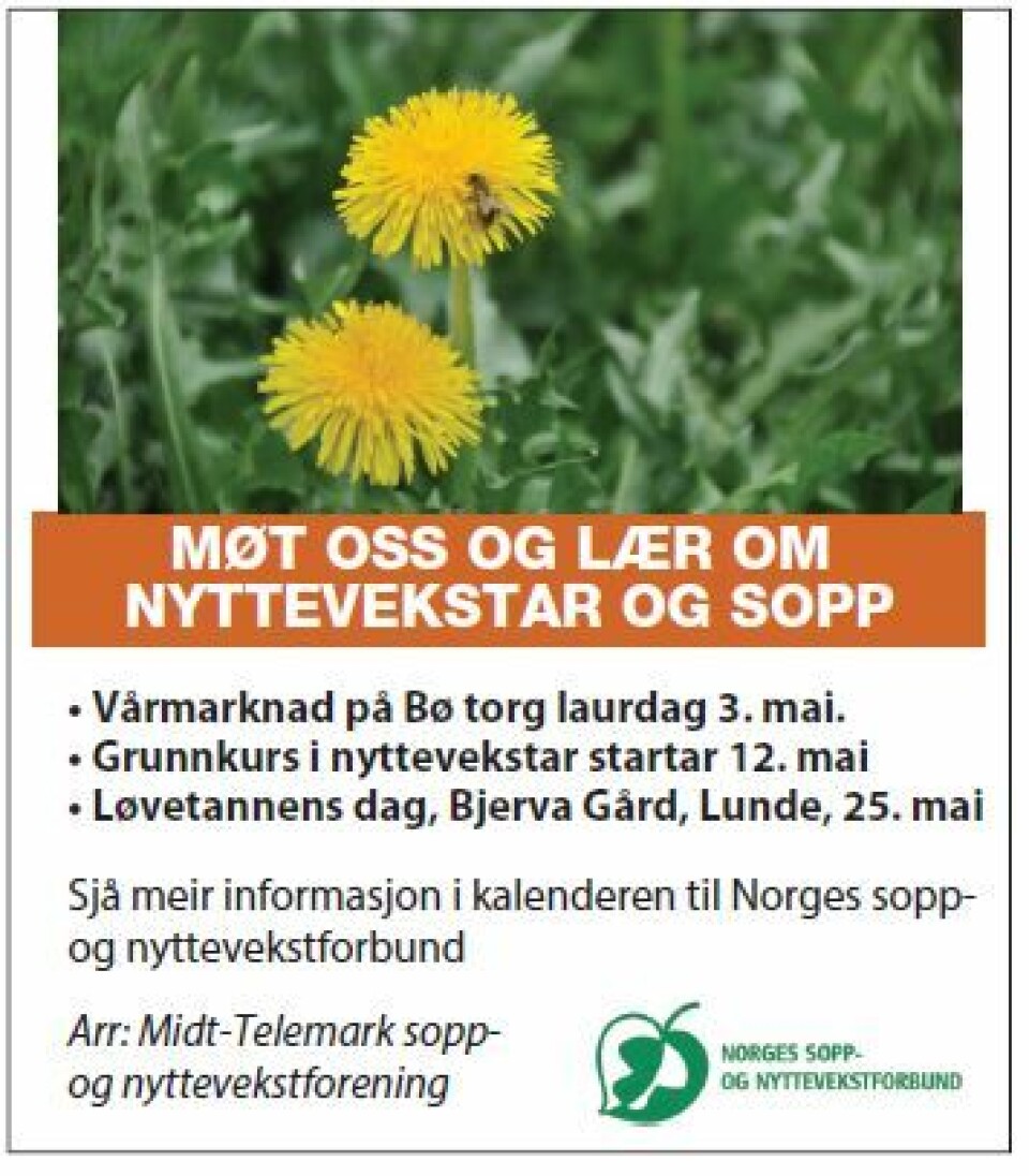 Løvetannens dag