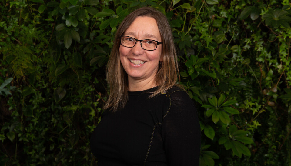 MEINING: Mona Nicolaysen, Telemark MDG.